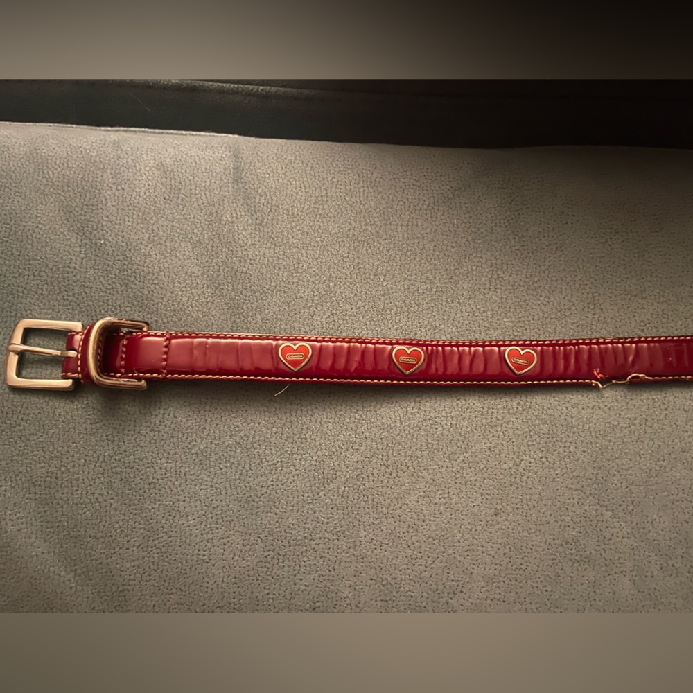Vintage Coach dog collar.